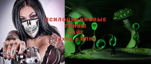 ешки Ладушкин