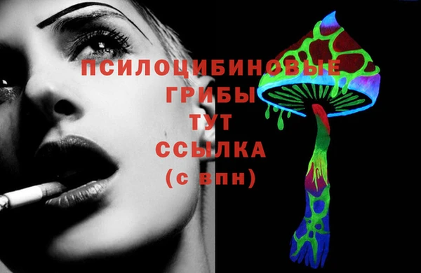 ешки Ладушкин
