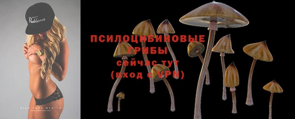 мдпв Лабытнанги