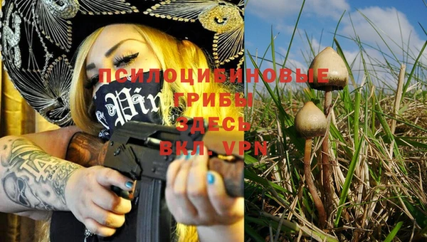 PSILOCYBIN Лагань
