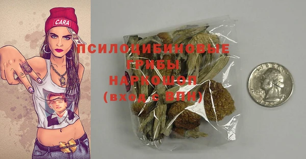 PSILOCYBIN Лагань