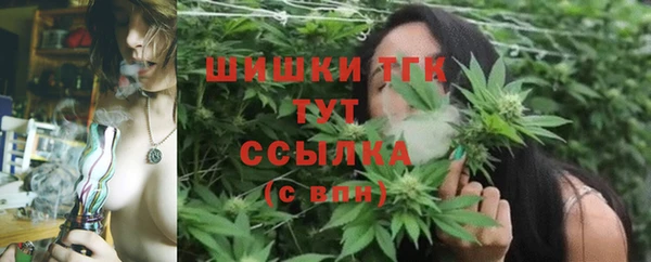 ешки Ладушкин