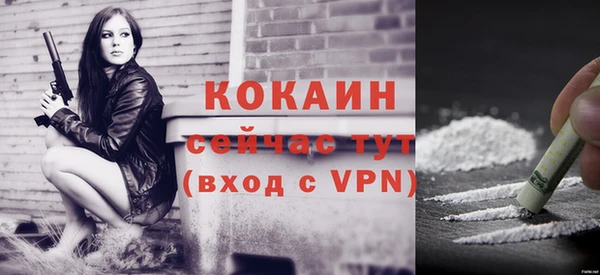 ешки Ладушкин